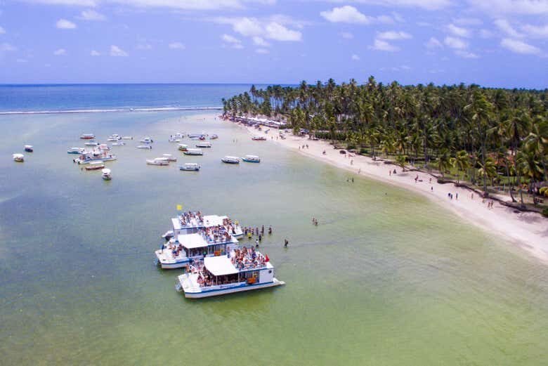 Excursão à Praia dos Carneiros: Um Paraíso no Nordeste Brasileiro!