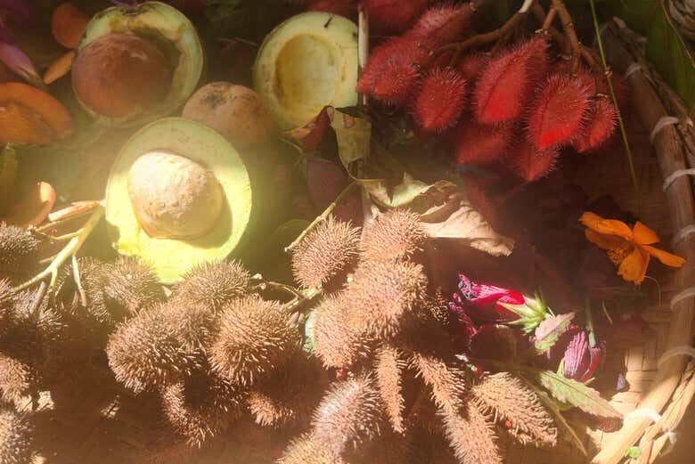 Descubra a Arte da Impressão Botânica em Salto de Pirapora!