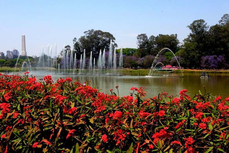 Excursão Privada a São Paulo: Descubra a Maior Cidade da América Latina!