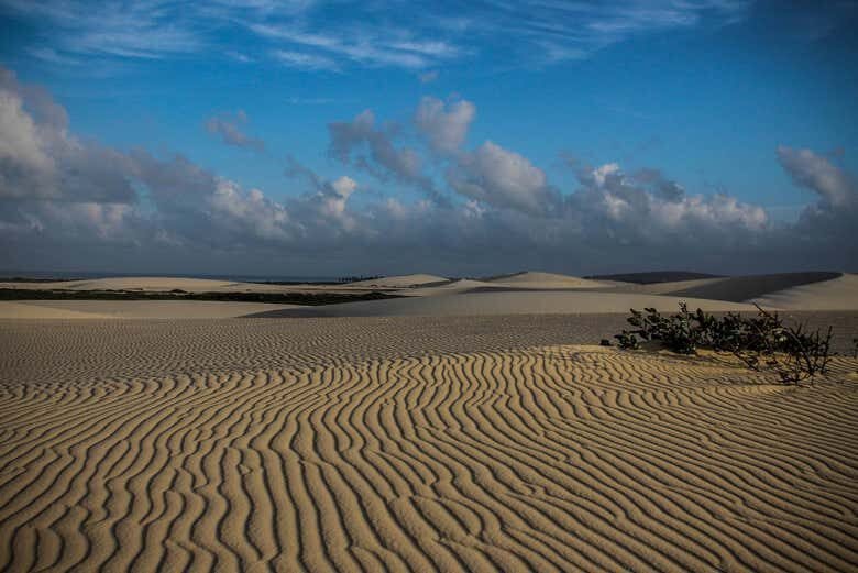 Aventura no Oeste de Jeri: Manguezais, Dunas e Lagoas de Tatajuba!