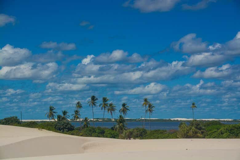 Explore a Natureza com um Passeio de Lancha pelo Lago de Santo Amaro até a Lagoa das Américas!