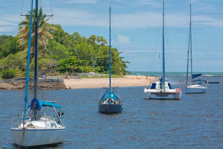 Excursão ao Parque Marinho da Coroa Alta!