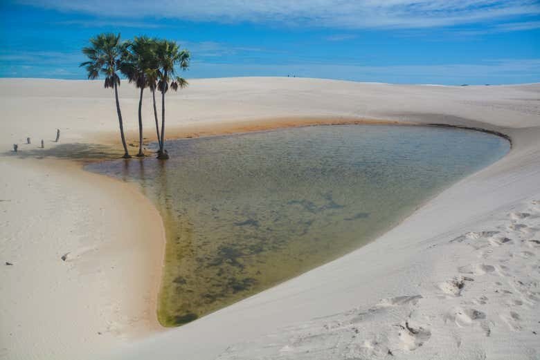 Explore a Natureza com um Passeio de Lancha pelo Lago de Santo Amaro até a Lagoa das Américas!