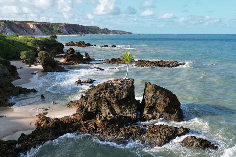 Explore as Maravilhosas Praias Tambaba e Coqueirinho em João Pessoa!