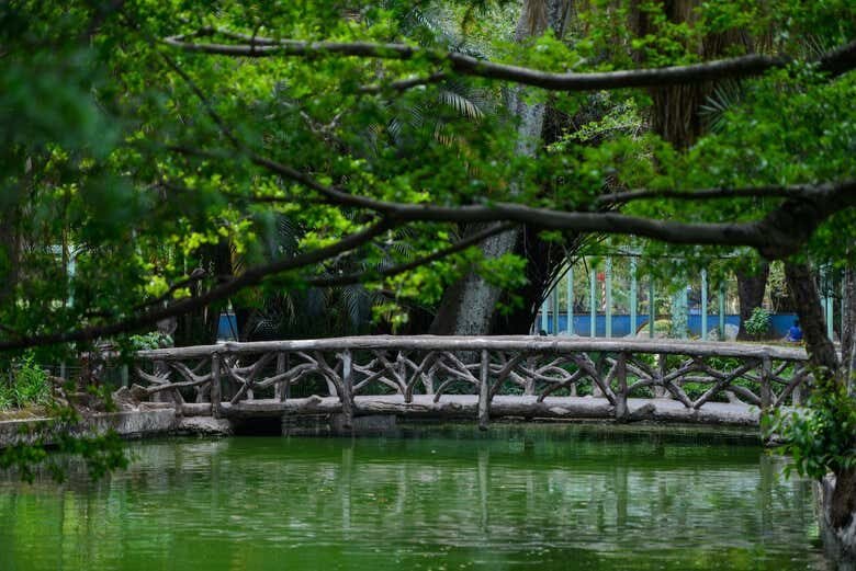 Descubra Belo Horizonte: Tour Privado Exclusivo!