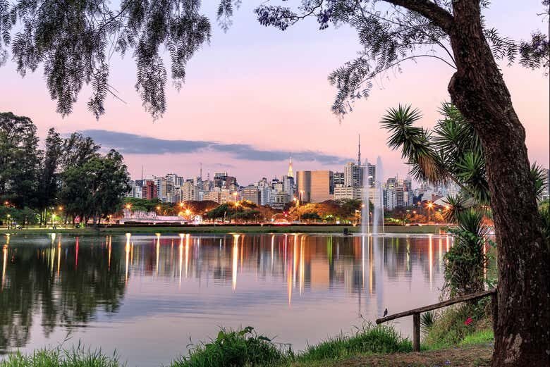 Descubra São Paulo à Noite: Tour Panorâmico Iluminado!