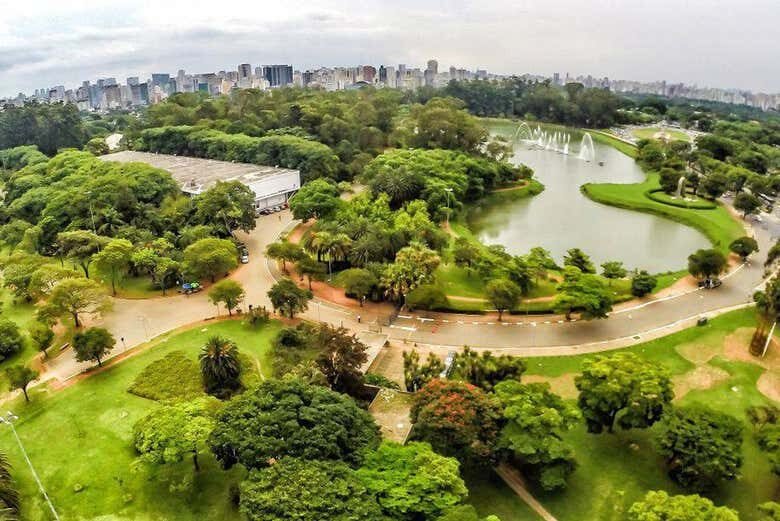 Tour Privado pelos Museus e Parque Ibirapuera em São Paulo!