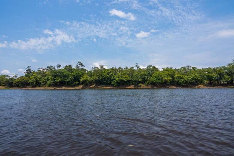 Aventura na Floresta Amazônica: Emoção e Natureza!