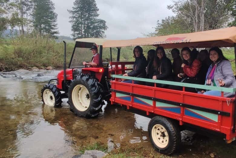 Descubra as Maravilhas Rurais de Joinville: Casa Krüger e Fazenda Ango Kersten!