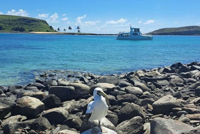 Descubra o Paraíso: Excursão ao Parque Nacional Marinho de Abrolhos!