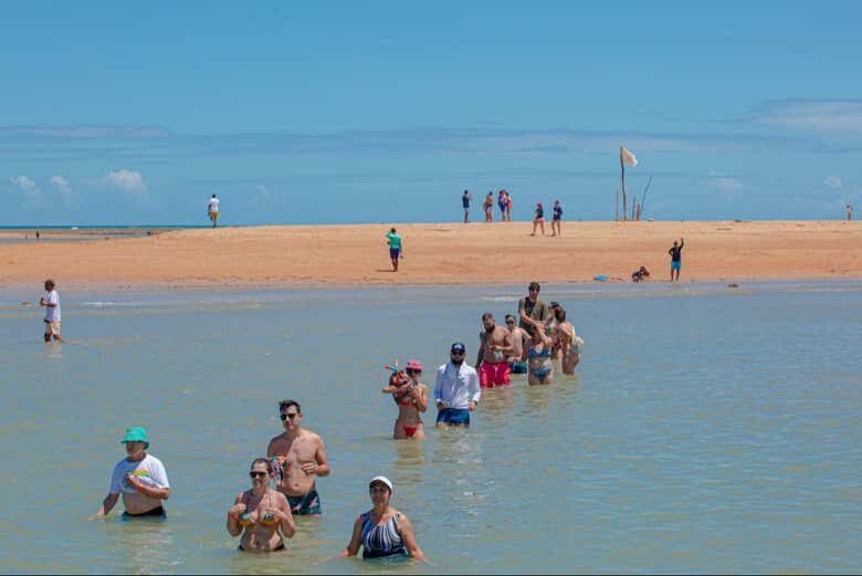 Excursão ao Parque Marinho da Coroa Alta!