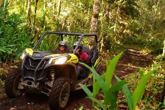 Aventura Radical em Monte Verde - Pilote um UTV nas Trilhas!
