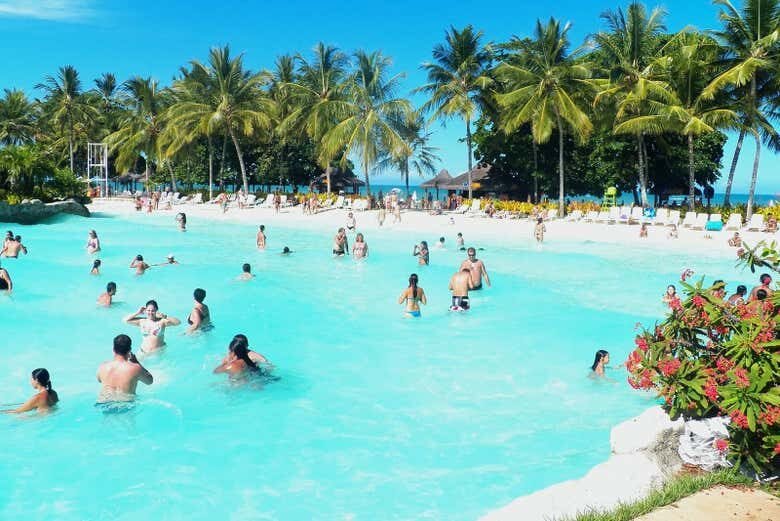 Excursão ao Ecoparque de Arraial d'Ajuda: Diversão e Natureza no Maior Parque Aquático da América Latina!