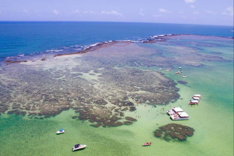 Excursão a Maragogi - Mergulhe nas Águas Cristalinas!