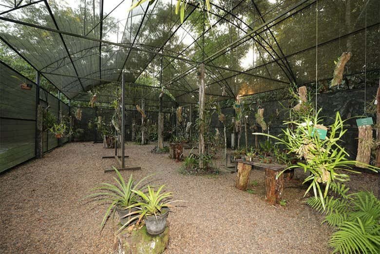 Explore a Floresta Amazônica e Descubra a Natureza Selvagem no Museu da Amazônia!