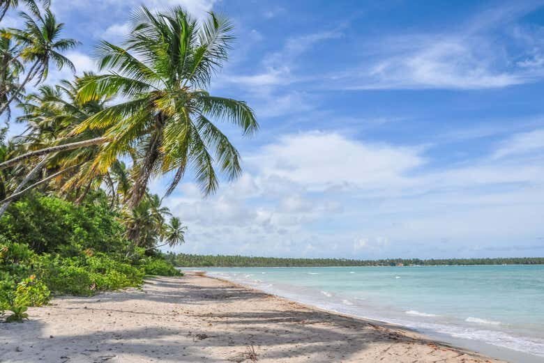 Transfer para Morro de São Paulo: Uma Viagem Relaxante e Cênica!