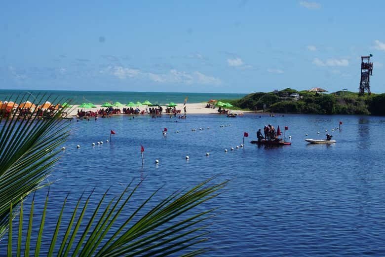 Descubra as Praias Paradisíacas do Litoral Sul de João Pessoa!