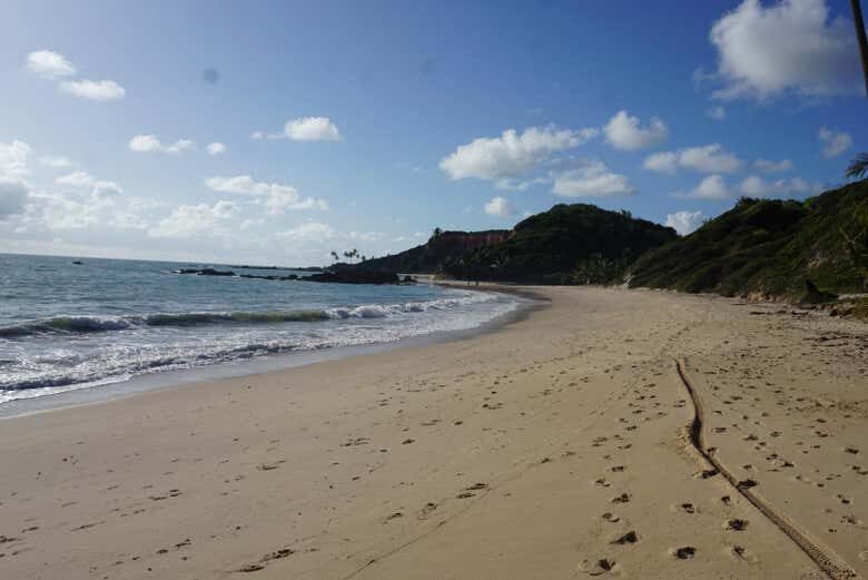 Descubra as Praias Paradisíacas do Litoral Sul de João Pessoa!