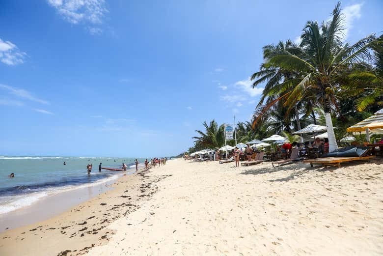 Emocionante Tour de Quadriciclo pelas Paisagens de Arraial d'Ajuda!