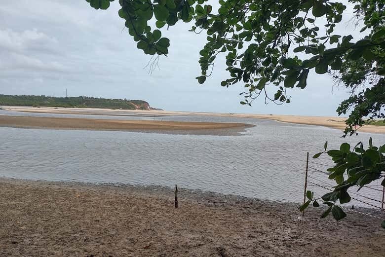 Aventura Imperdível de Buggy pelo Litoral Sul da Paraíba: Praias de Encantar!