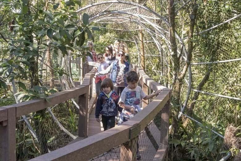 Exploração Natureza Suprema: Excursão ao Parque Ecológico Imigrantes!