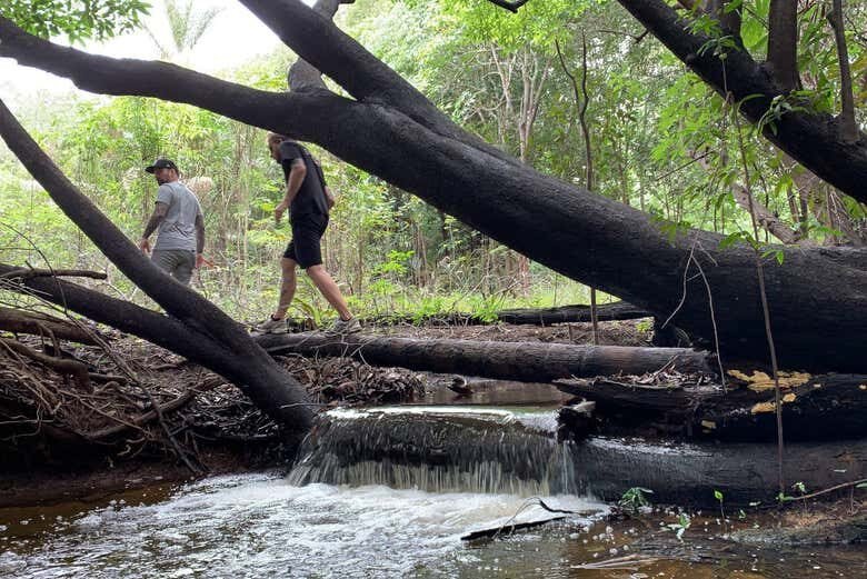 Desvende os mistérios da Floresta Amazônica com um passeio incrível de 12 horas!