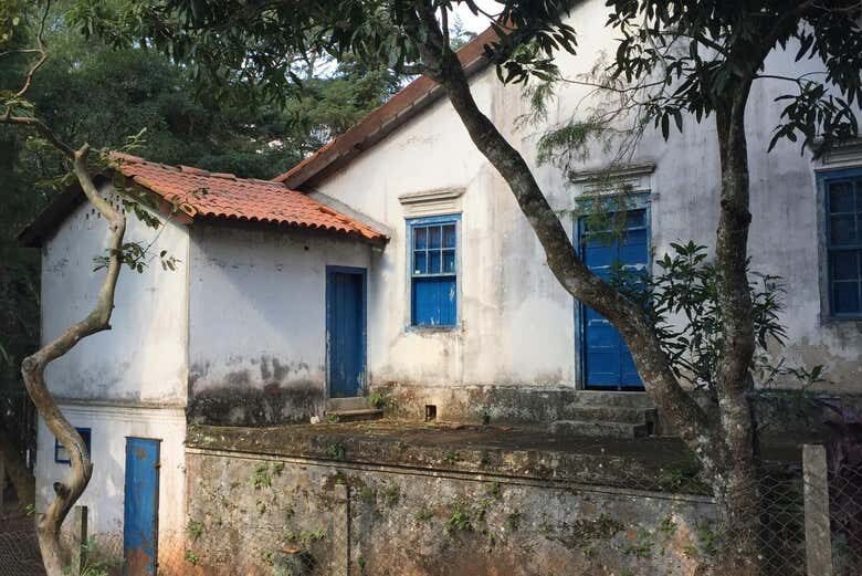 Trilha para o Pico do Jaraguá: Aventura no Ponto Mais Alto de São Paulo!