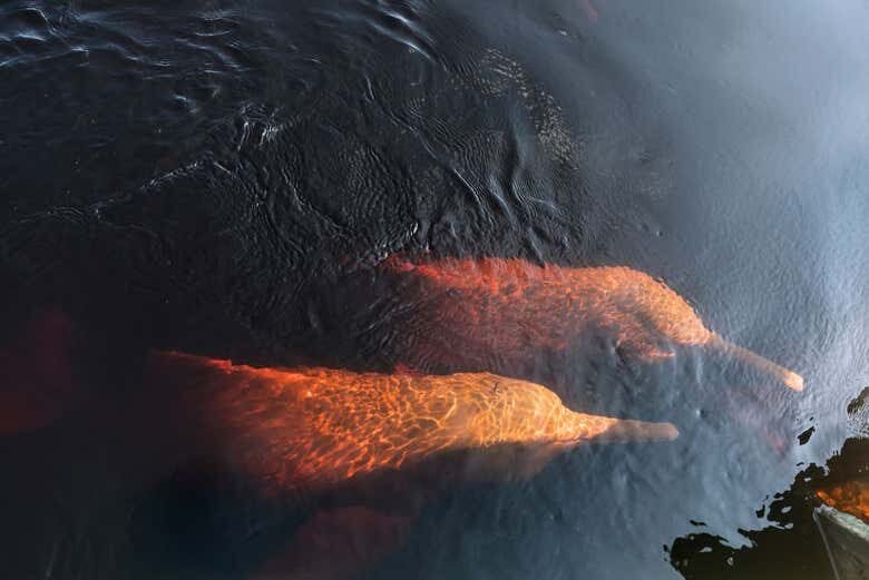 Excursão ao Encontro das Águas e Tribo Indígena!