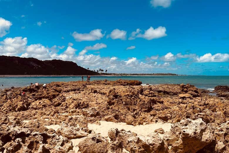 Explore as Maravilhosas Praias Tambaba e Coqueirinho em João Pessoa!