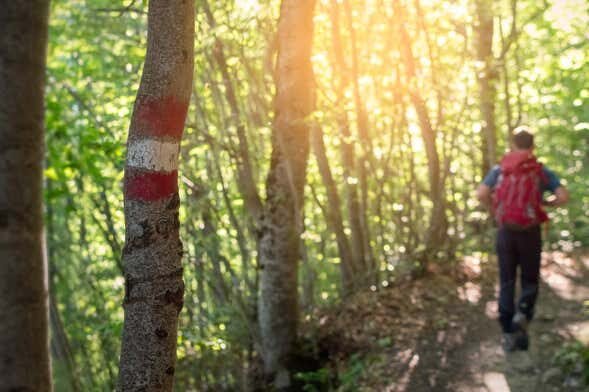 Descubra os Tesouros Culturais de Bertioga: Uma Trilha Imperdível!