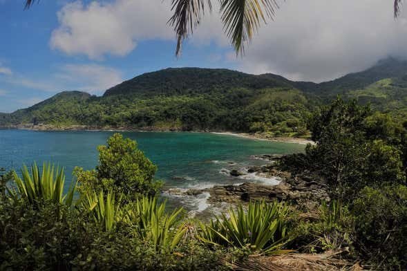 Trilha pela Praia de Calhetas: Explore Refúgios Paradisíacos!