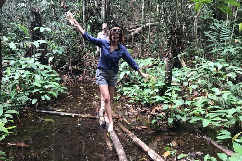 Desvende os mistérios da Floresta Amazônica com um passeio incrível de 12 horas!