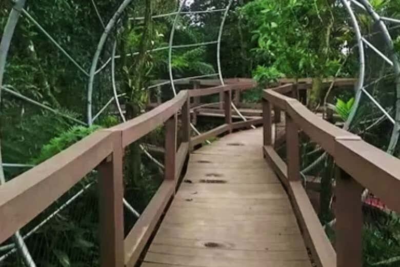 Exploração Natureza Suprema: Excursão ao Parque Ecológico Imigrantes!