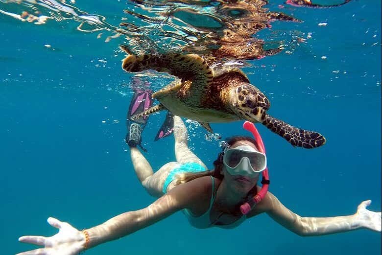Passeio de Barco e Snorkel na Paradisíaca Baía do Sancho!