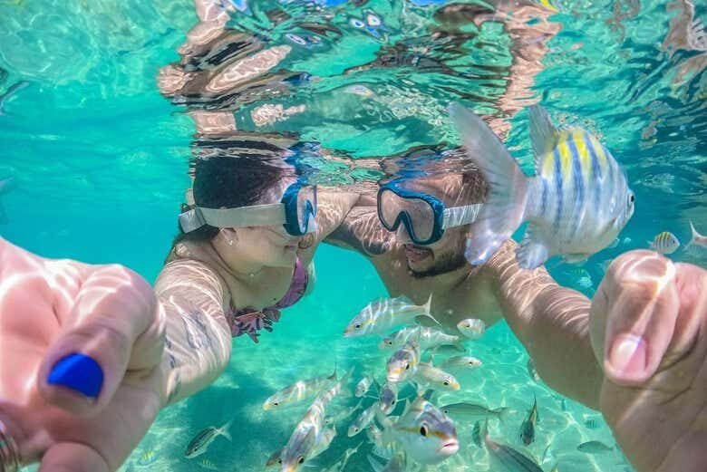 Passeio de Jangada em Porto de Galinhas: Explore as Belezas Naturais!