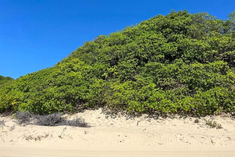 Transfer de São Luís a Barreirinhas: Sua Porta de Entrada para os Lençóis Maranhenses!