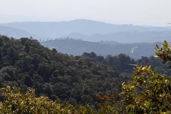 Aventuras em Monte Verde: Descubra a Vila com um Tour de 4x4!