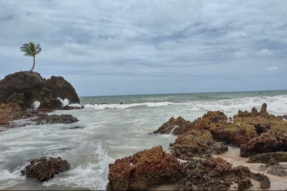 Aventura Imperdível de Buggy pelo Litoral Sul da Paraíba: Praias de Encantar!