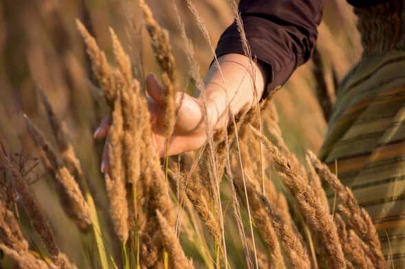 Tour Cervejeiro em Curitiba: Conheça, Deguste e Apaixone-se pela Produção Artesanal!