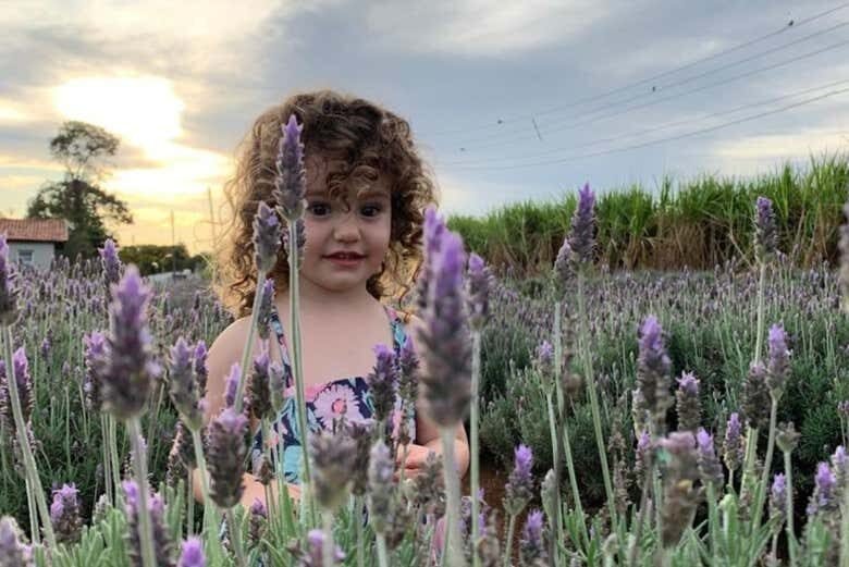 Exploração Privada de Holambra: Descubra a Cidade das Flores com Exclusividade!