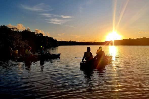Tour de Caiaque ao Entardecer nos Manguezais da Ilha de Boipeba!