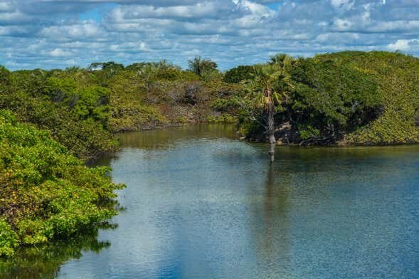 Explore a Natureza com um Passeio de Lancha pelo Lago de Santo Amaro até a Lagoa das Américas!