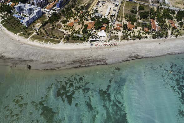 Descubra as Belezas do Litoral Norte da Paraíba!