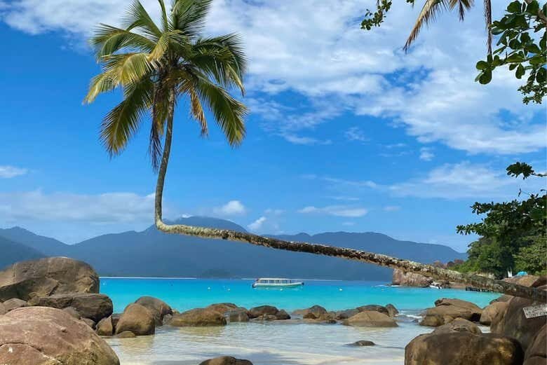 Explore as Belezas de Ilha Grande: Um Passeio Inesquecível pelo Paraíso Carioca!