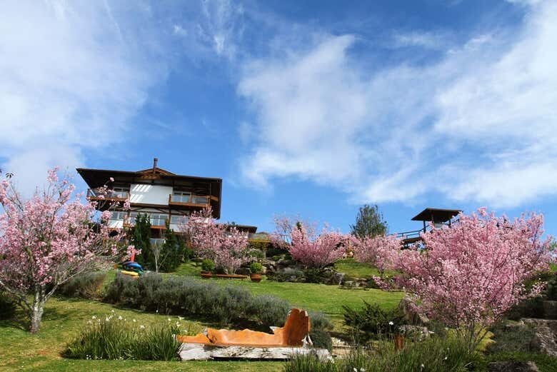 Tour ao Entardecer pelo Prana Park!