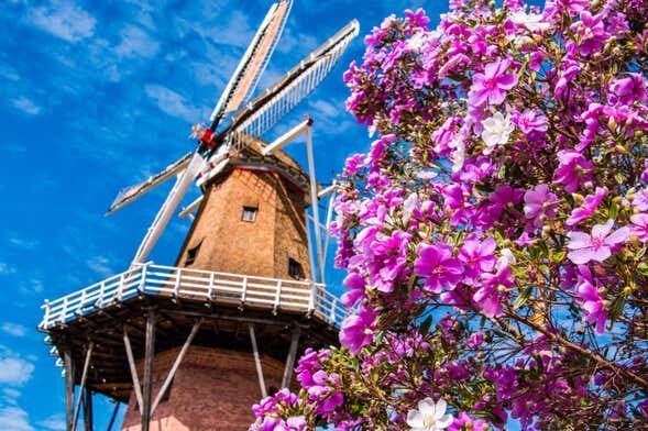 Exploração Privada de Holambra: Descubra a Cidade das Flores com Exclusividade!