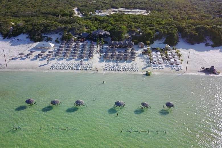 Dia de Praia VIP: Transfer para os Melhores Beach Clubs de Jeri!