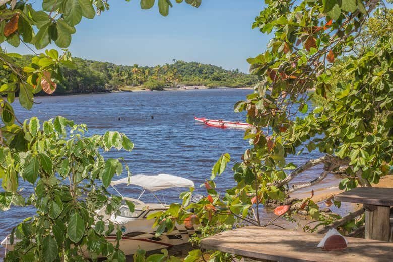 Descubra o Paraíso Escondido: Excursão de Porto Seguro a Caraíva!