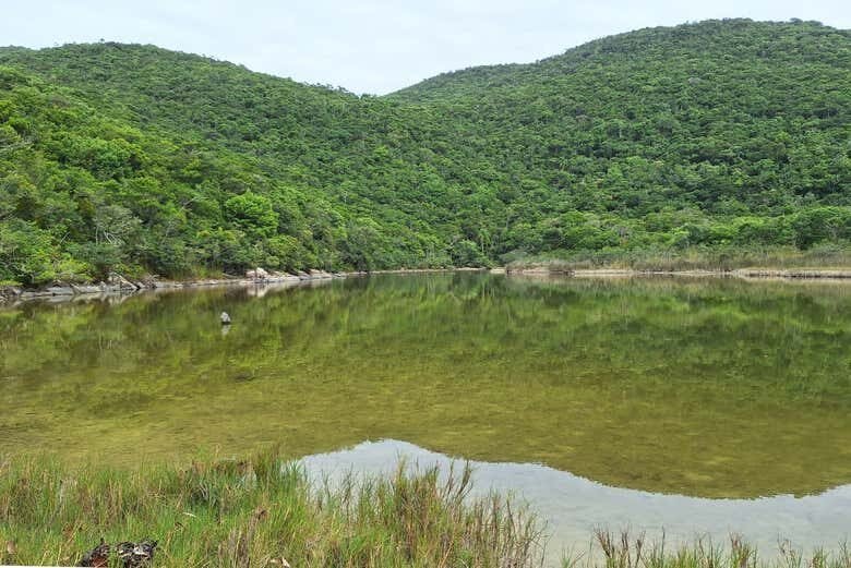 Trilha Armação – Pântano do Sul!