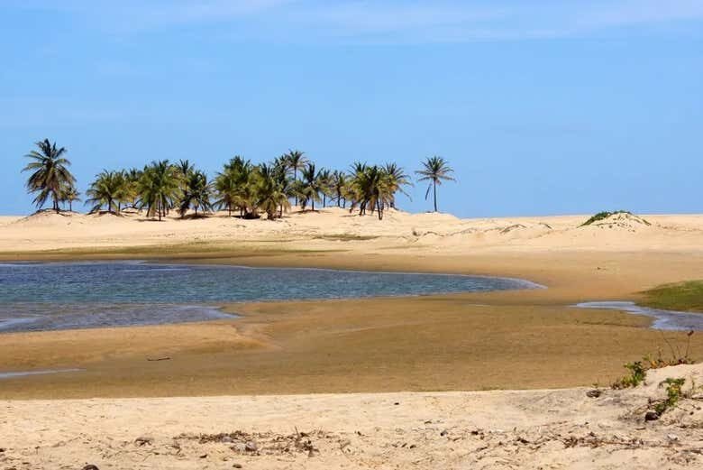Excursão ao Rio São Francisco com Saída de Aracaju!